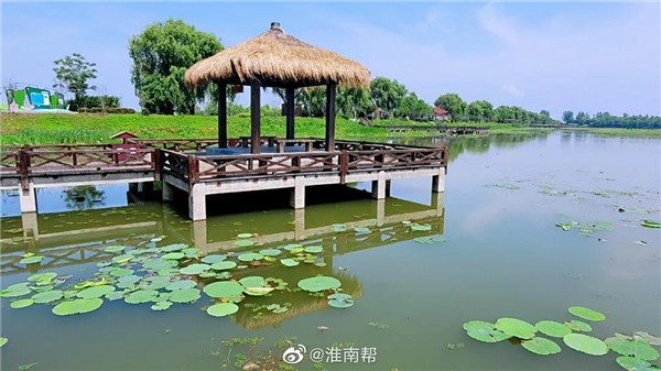 【圖說淮南】——初夏雨后的焦崗湖，暖風徐徐！