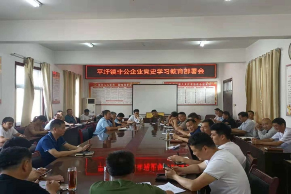 淮南市潘集區平圩鎮：念好“三字訣”推深做實非公領域黨史學習教育