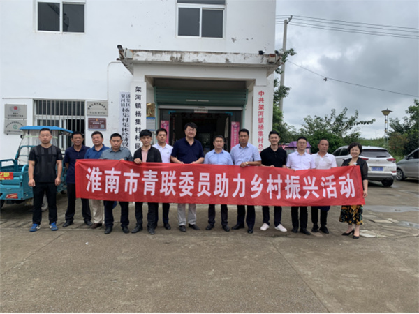 淮南市青聯開展學習習近平總書記“七一”重要講話精神，助力鄉村振興交流活動