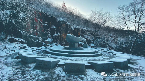 【圖說淮南】——雪來了，你期待嗎？