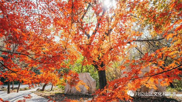 【圖說淮南】——八公山風(fēng)景區(qū)這個地方紅了！