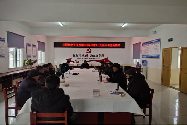 淮南市壽縣：大順鎮老干部集中學習黨的十九屆六中全會精神