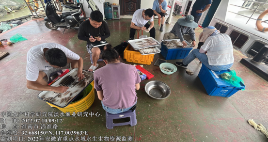 淮南市開展淮王魚保護區資源監測采樣工作