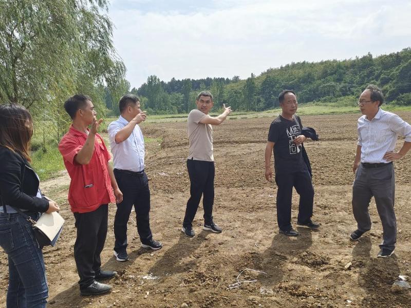 淮南市農(nóng)科院扎實推進科技特派員工作--助力明光市草莓種植發(fā)展
